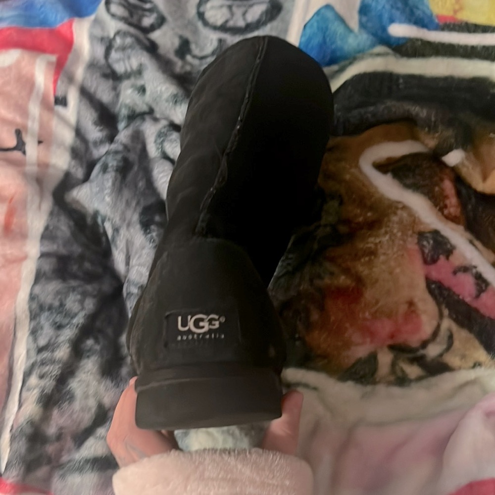 Uggs long boots